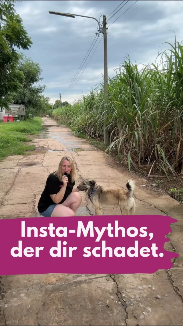 Insta-Mythos, den du kennen solltest! 
Folge und interagiere nur mit Accounts deiner Nische, so erhöhst du deine Reichweite und sagst dem Algorithmus, was du bietest. 
Endlich hat der Insta-CEO @mosseri sich dazu geäußert und bestätigt, was du konsumierst hat keinen Einfluss darauf, was du postest. 
Dieser Tipp ist aus mehreren Gründen schwachsinnig. 
1. Wenn alle Businessaccounts nur in ihrer Bubble bleiben, hast du auf Instagram nur noch private Kunden. Wenn wir das zu Ende spinnen, würde ich nur noch Insta-Content konsumieren. Ich wäre nie dein Kunde. Ferienwohnungen vermieten nur noch an Ferienwohnungsbesitzer usw. 
2. Jedes Mal bekommst du nur die tollen Reels deiner Mitbewerber angezeigt. Und schon vergleichen wir uns, fühlen uns klein und schlecht. Dann eröffnen wir einen Privataccount, der dann auch noch mehr Spaß macht. Na herzlichen Glückwunsch.
Ich folge den Accounts, die ich toll finde UND meinen Kunden. Und ich fahre damit richtig gut 🔥😊 
Aber es gibt eine kleine Ausnahme, wann ich das tatsächlich für kurze Zeit machen würde: Ganz am Anfang.
All das habe ich in meinem REELly Profiloptimierungskurs für dich ausführlich erklärt. Schau ihn dir an! Kommentiere mit MANGO und ich schicke dir den Link.
 _____________________________
Für mehr Tipps rund um die gewerbliche Nutzung von Instagram, Reels, Storys, Kurzvideos, Instagramwachstum, lizenzfreie Musik bist du hier goldrichtig.