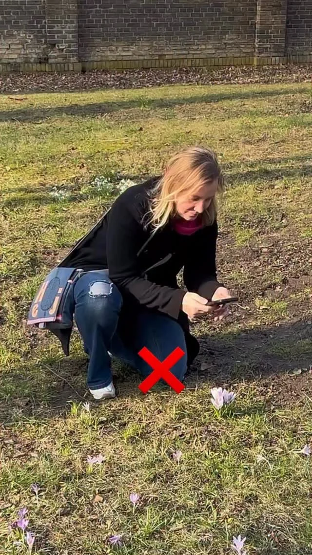 Es ist soweit 🪻🌷🌺 perfekte Zeit für neue Story Hintergründe zB
Ist mit Schneeglöckchen noch schöner 😍