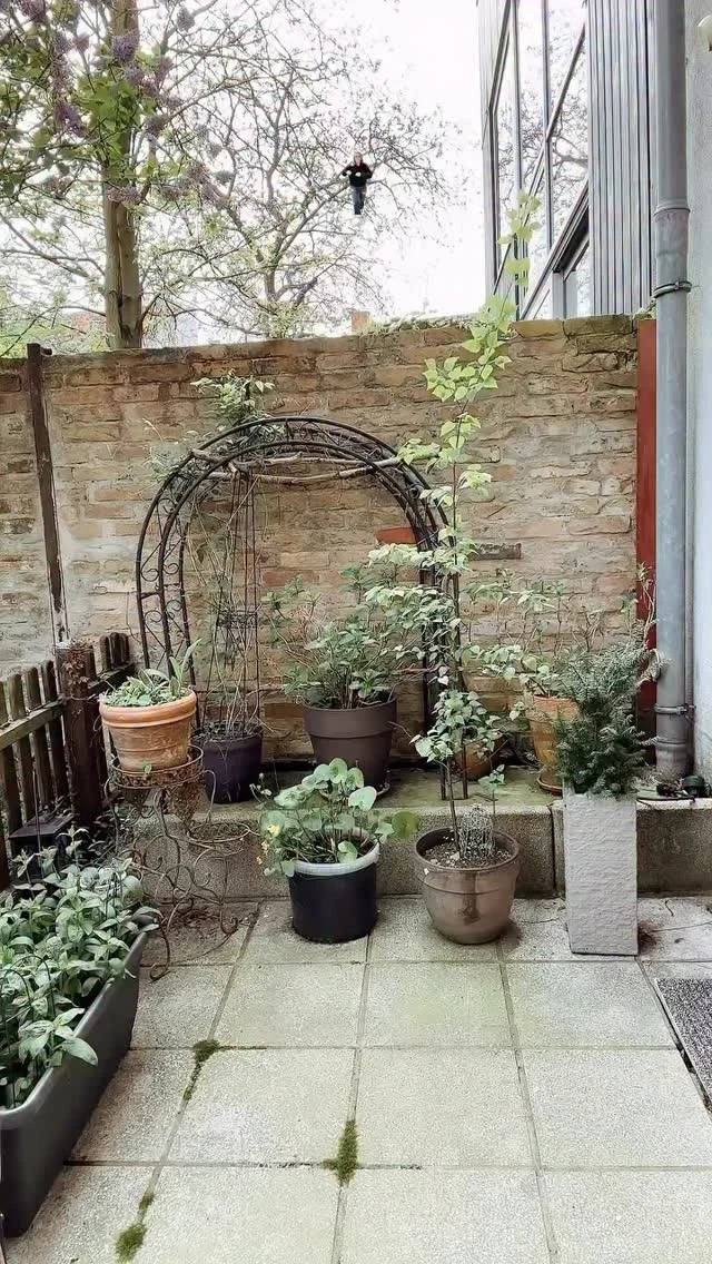 🥳 INSTAGRAM-UPDATE FÜR MEHR ENGAGEMENT 🥳
Das ist ein tolles, neues  Update, dass du ab jetzt immer mal wieder in deinen Stories verwenden kannst, um Leute dazu zu bringen, die Benachrichtigungen für deine Beiträge zu aktivieren. 
Bisher ging das nur umständlich über das Glöckchen oben im Profil. Über diesen Story-Sticker ist das jetzt super easy. 
Aktivieren deine Zuschauer diese Benachrichtigungen, werden sie informiert sobald du etwas postest, so hast du bessere Chancen auf Engagement.
Teile dieses Reel in deiner Story und verbreite das neue Feature!
Alle Accounts sollten das wissen. 🌺
_____________________
Für mehr Tipps rund um Instagram, Reels, Kurzvideos, Fotos, Instagramwachstum, Reichweite, Videomarketing, Onlinebusiness und onlinegeldverdienen folge  gern.