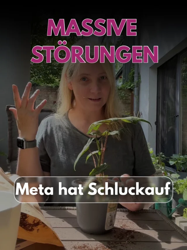 Störungen bei Instagram und Facebook, europaweit und in den USA. Die Ursache ist noch nicht bekannt. Wichtig ist ja auch nur: Es liegt nicht an dir. 
Hier ist meine offizielle Instagram-Notfallanleitung:
1. Nicht ausrasten.
2. Nicht 47-mal aut Aktualisieren drücken.
3. Nicht App deinstallieren. 
Stattdessen:
• Zuallererst mir folgen, weil es einfach Sinn macht. 😊
• Guck mal, ob du draußen noch irgendwo echtes Tageslicht findest.
• Oder lies das Buch, dass seit 2023 auf deinem Nachttisch liegt.
• Und hattest du nichtmal ein Festnetztelefon? Wo ist das eigentlich? 
• Ruf damit doch einfach mal einen lieben Menschen an.
• Ach, und der Datenmüll, der dir ständig Speicherplatz klaut, müsste auch mal rausgebracht werden. 
Wahrscheinlich ist Meta mit der Reparatur aber doch schneller 😅
Musik: @smartsanti