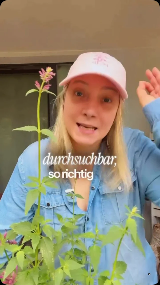 DAS Update des Jahres 🔥
Die META Soundcollection ist durchsuchbar! 
Mit Keywords nach Titeln, Songtexten, Künstlern. 
Dieses „Ich muss mich durch den ganzen Reiter hören, um was passendes zu finden“ hat ein Ende. 🥳
Reminder: für alle NICHT-privaten Accounts ist die normale Musikbibliothek tabu, sei denn, du liebst Abmahnungen mit hohen Schadenersatzforderungen. 
Achtung, die Funktion findest momentan nur bei Edits (kostenlose Videobearbeitungsapp von Meta)
Im Filter siehst du jetzt auch „jugendfrei“. Nicht jugendfrei sind die Songs mit der Kennzeichnung E.
Wenn dir jemand erzählt, du wirst wegen dieser Songs in deiner Reichweite eingeschränkt, dann lauf!  Derjenige hat sich mit Musikrechten und -nutzung auf Insta bisher null beschäftigt.
Und jetzt noch zu der Kollegin, die ich noch mehr feiere als dieses Update:
@wahhnessa ❤️
Sie hat mir das gestern Abend um 22:04 Uhr per PN geschickt. Von Herzen danke für den Hinweis. 🙌
PS: Die wichtigste Regel zur Musiknutzung auf Instagram hat sich übrigens nicht geändert.
Kommentiere mit LOA und ich schicke sie dir. 🎵
________________
Hi, ich bin Manja.
Für Tipps rund um die gewerbliche Nutzung von Instagram, Reels, Storys, Kurzvideos, Reichweitenaufbau und Musikrechte bist du hier genau richtig.