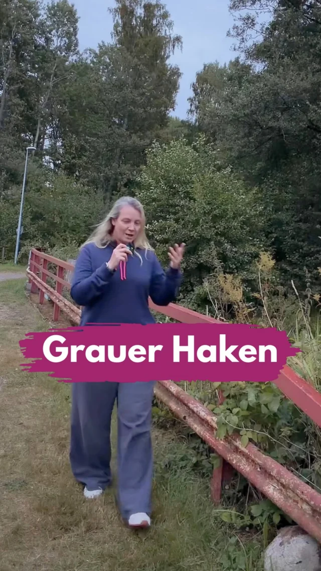 Dieser kleine graue Haken hinter deinem Namen ist kein Fehler und keine geheime Kategorisierung.
Er ist nur für dich selbst sichtbar. Andere sehen ihn auf deinem Profil also nicht.
Wenn du ihn siehst, kannst du jetzt die Meta One Abo-Modelle abschließen, Essential, Advanced, Expert und Max. 
Je nach Paket gibt’s dann Verifizierung, Schutz vor Nachahmung, Links in Reels und Beiträgen, zusätzliche Insights oder Support.
Das graue Häkchen heißt also nur, dass Meta dir ein Abo verkaufen möchte.
Und nein, wir löschen auf gar keinen Fall unseren Namen aus dem Profil, um es zu entfernen.
________________
Hi, ich bin Manja.
Für Tipps rund um die gewerbliche Nutzung von Instagram, Reels, Storys, Kurzvideos, Reichweitenaufbau und Musikrechte bist du hier genau richtig.